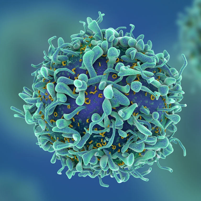 36. MedCity Collaborate to Innovate stimulates R&D activity in life sciences