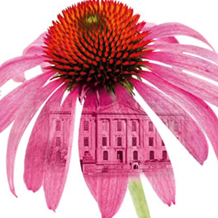24. Economic Impact Assessment of RHS Chatsworth Show